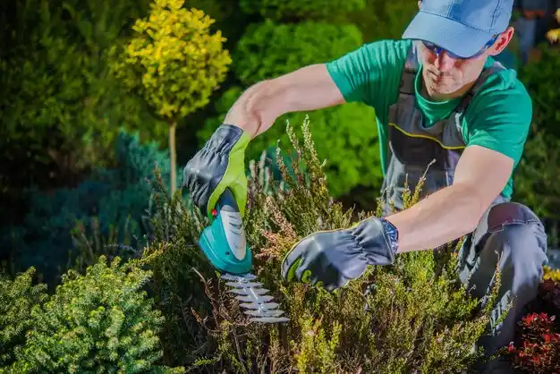 landscaping services Beecher
